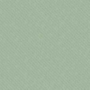 Meet your Posher, Tania